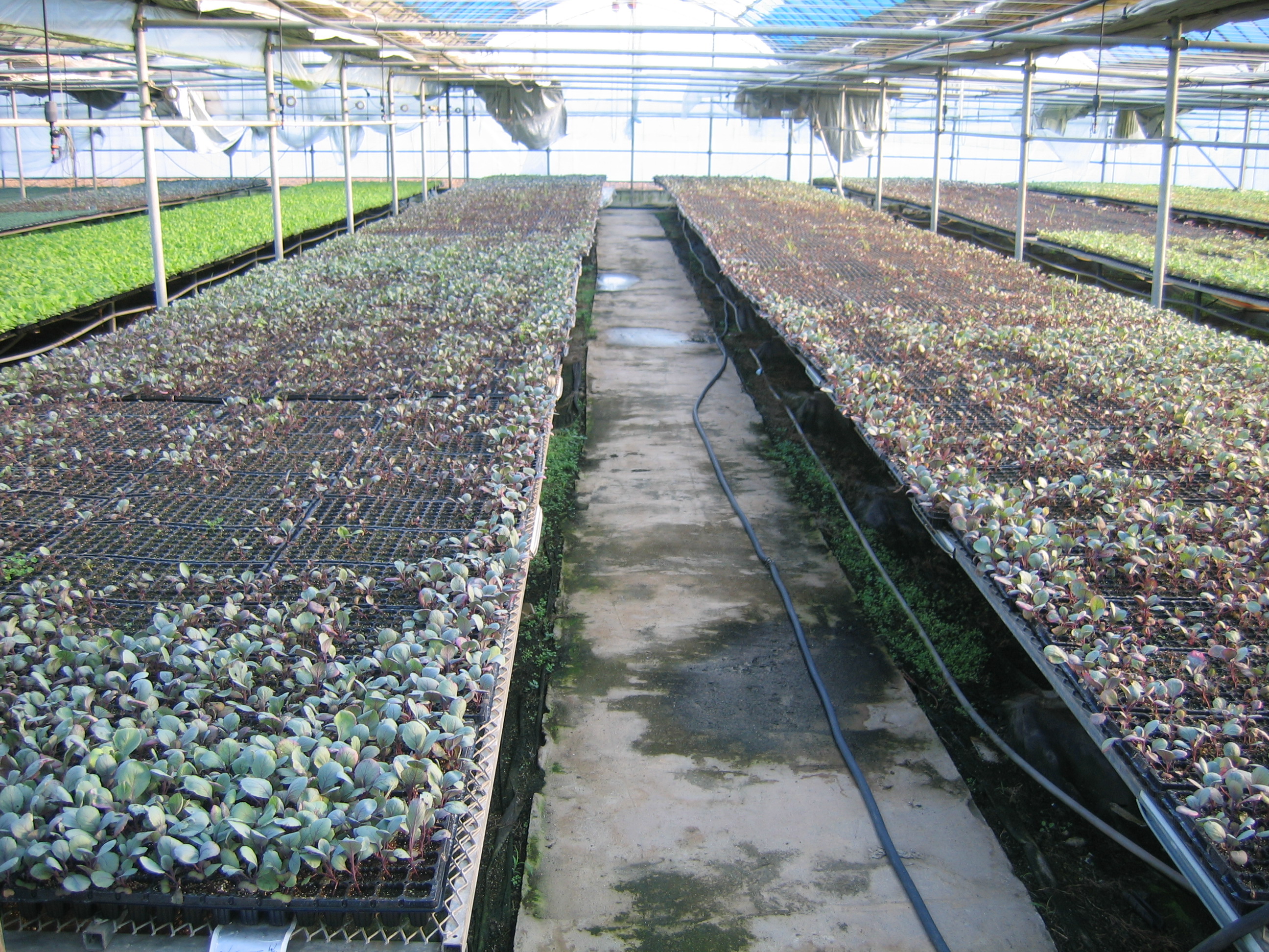 향토음식연구회의 오메기술 배우기